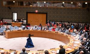 El lunes y el míercoles el Consejo de Seguridad mantuvo sesiones extraordinarias sobre la situación en Ucrania.