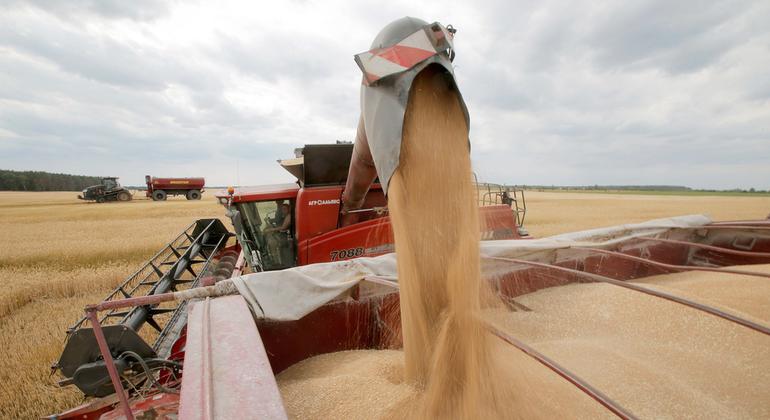 Стоимость пшеницы и кукурузы с начала года подскочила на 30 процентов.На фото: сбор урожая пшеницы в Украине.
