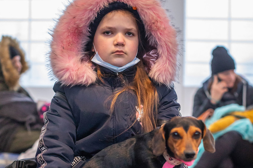 Una niña ucraniana descansa con su perro tras llegar a Medyka (Polonia) con su familia.