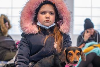 A young Ukrainian girl rests with her dog after arriving in Medyka, Poland, with her family.