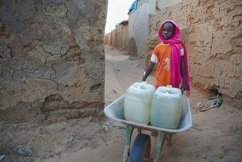 A nine-year-old girl pushes a wheelbarrow loaded with water-filled jerrycans in a IDP camp in Darfur, Sudan.