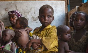 More than three million children have been displaced in eastern Democratic Republic of the Congo due to militia violence.
