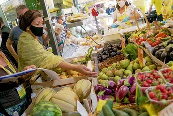 Vice-chefe da ONU defende que governos estão cada vez mais conscientes do valor de se adaptarem os sistemas alimentares 