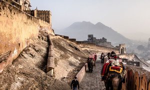 Des touristes en Inde font une promenade à dos d'éléphant au fort d'Amber juste à l'extérieur de Jaipur.