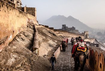भारत के राजस्थान प्रदेश की राजधानी जयपुर के निकट एक क़िले में सैलानी हाथियों की सवारी करते हुए.