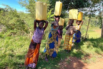 Des jeunes filles transportent de l'eau depuis une source en Ituri, en RDCongo.