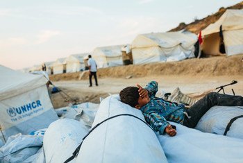 希腊莱斯沃斯岛难民营火灾后，一名来自阿富汗的男孩正在临时安置点内休息。