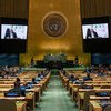 巴勒斯坦国总统阿巴斯在联合国大会第76届会议上发表视频讲话。