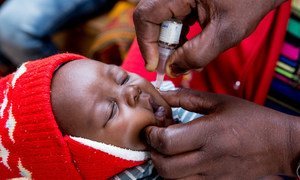 A nurse administers an oral poliovirus vaccine (OPV) to a baby at the Kaloko Clinic, Ndola, Zambia. 