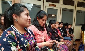 Participantes en las reuniones preparatorias del Festival Latinoamericano de Lenguas Indígenas en Internet