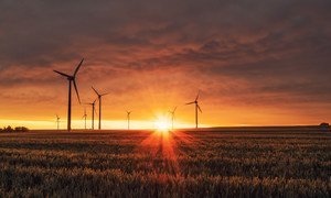 A wind farm in Biedesheim, Germany.