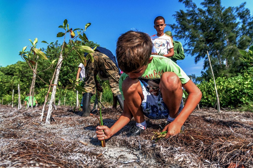 La restauration des habitats naturels comme sur cette photo à Cuba aidera à ralentir le changement climatique