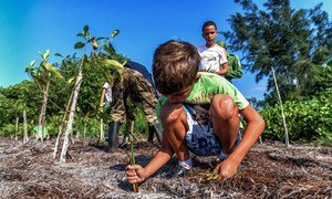 Restoring natural habitats as pictured here in Cuba will help to slow down climate change