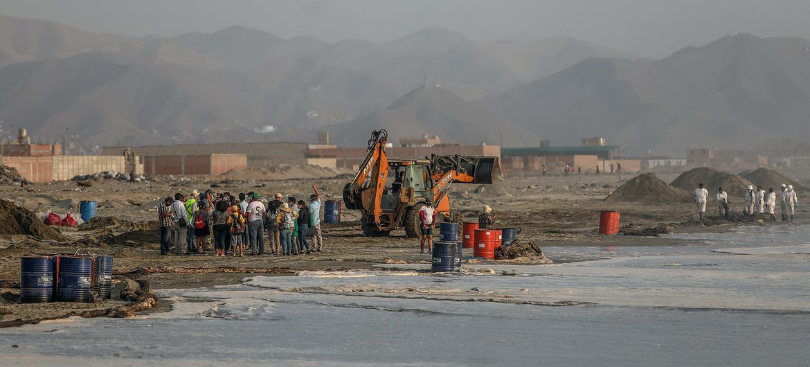 Trabajo de evaluación de los daños ambientales del vertido de petróleo en la costa peruana del distrito de Ventanilla en la provincia constitucional del Callao.