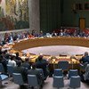 مجلس الأمن يمدد ولاية عمل فريق الخبراء في اليمن