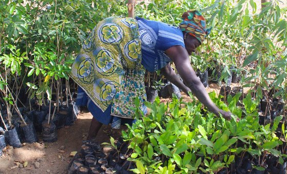 Women across Ghana are learning how to process their crops into food stuffs that can be sold in markets.