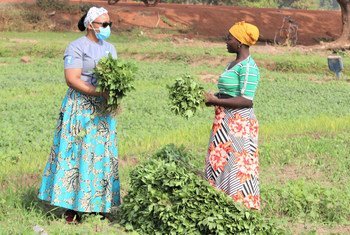 Deux femmes agricultrices au Ghana