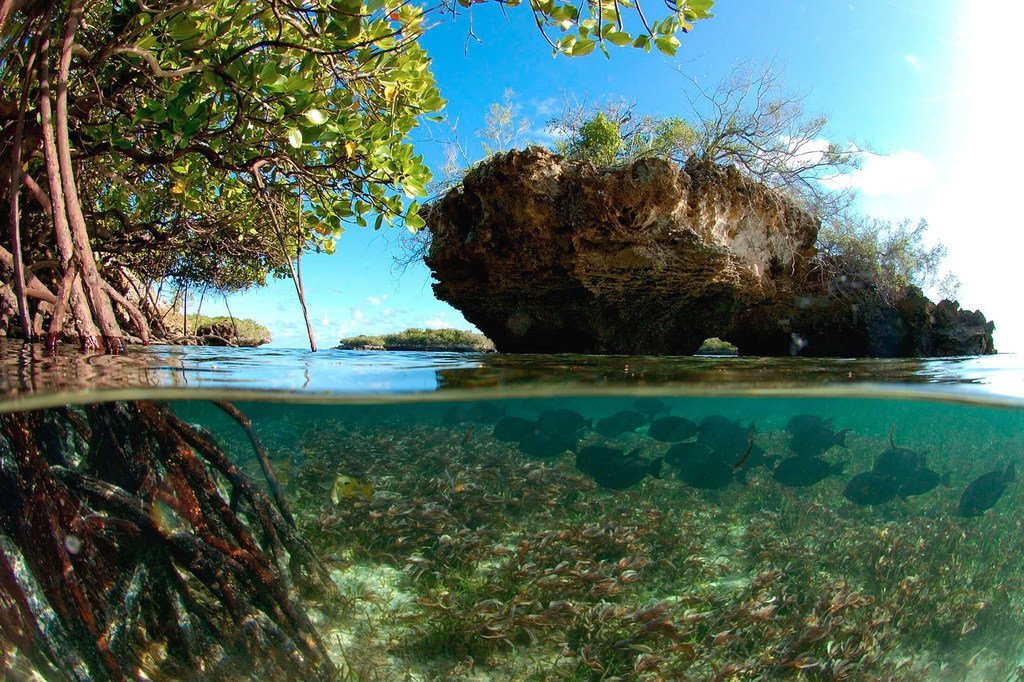 L'atoll d'Aldabra, un site du patrimoine mondial de l'UNESCO aux Seychelles