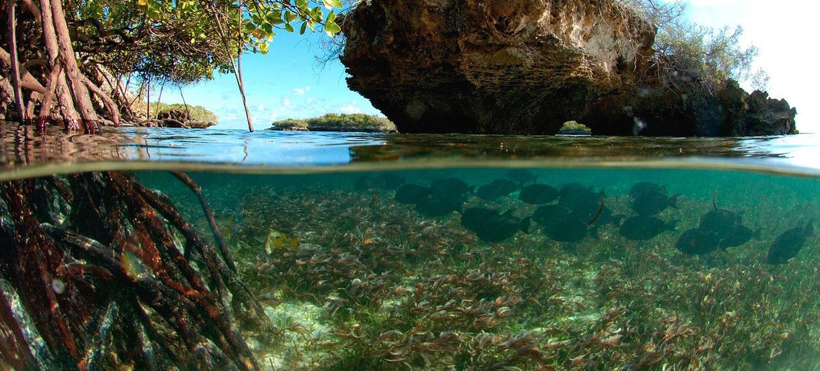 L'atoll d'Aldabra, un site du patrimoine mondial de l'UNESCO aux Seychelles