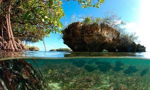 El atolón de Aldabra en las islas Seychelles hace parte del Patrimonio Mundial de la UNESCO.