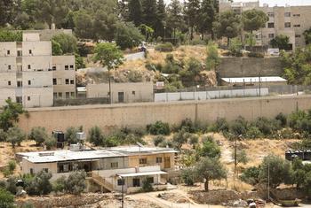 居住在约旦河西岸希伯伦H2区定居点附近的巴勒斯坦家庭。