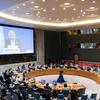 Специальный координатор ООН по ближневосточному мирному процессу Тор Веннесланд выступает перед Советом Безопасности.