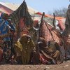 عائلات نازحة في الصومال.