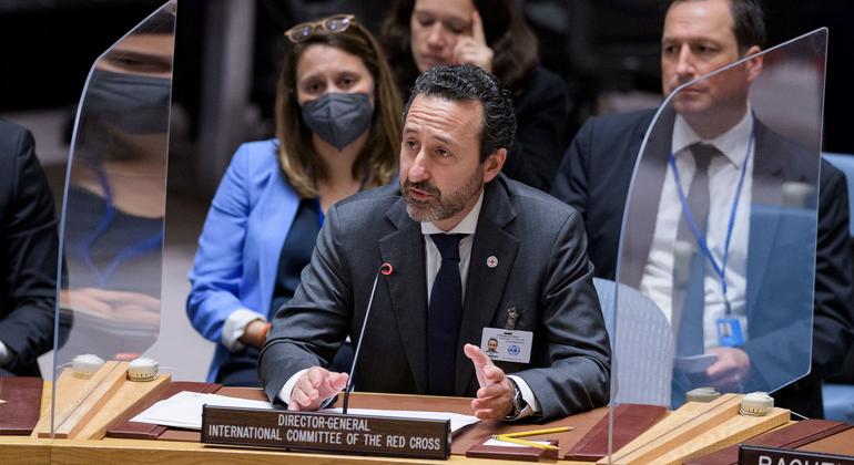 Robert Mardini, Director General of the International Committee of the Red Cross, summarizes the Security Council meeting on the protection of civilians in armed conflict.