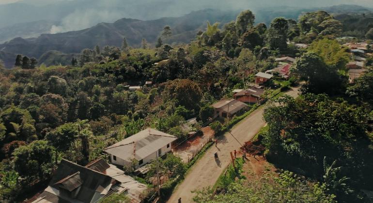 ONU Derechos Humanos pide al nuevo Gobierno de Colombia “medidas urgentes” contra la violencia en las zonas rurales