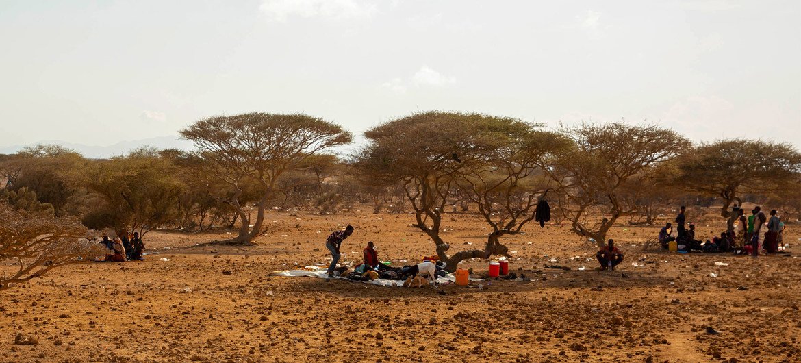 مهاجرون إثيوبيون يجلسون تحت الأشجار في الظل في جيبوتي بينما ينتظرون المهربين لتنظيم سفرهم إلى اليمن ، وعادة ما يأملون في الوصول في النهاية إلى المملكة العربية السعودية.