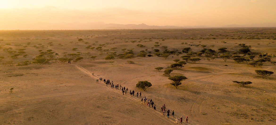 مهاجرون يسيرون في الصحراء في جيبوتي.