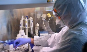 国际原子能机构利用其技术、科学和实验室能力，帮助各国国家实验室监测、及早发现和控制2019冠状病毒病一类的动物和人畜共患病。