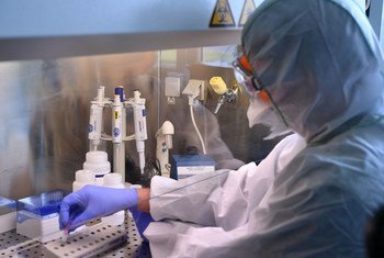 国际原子能机构利用其技术、科学和实验室能力，帮助各国国家实验室监测、及早发现和控制2019冠状病毒病一类的动物和人畜共患病。