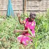 A woman tends to her garden in Juba, South Sudan, where she returned in July 2021 following two decades of displacement in Sudan.
