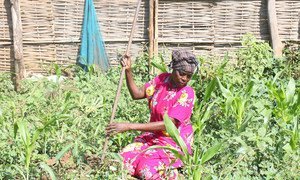 A woman tends to her garden in Juba, South Sudan, where she returned in July 2021 following two decades of displacement in Sudan.