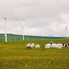 A wind farm in the People's Republic of China.