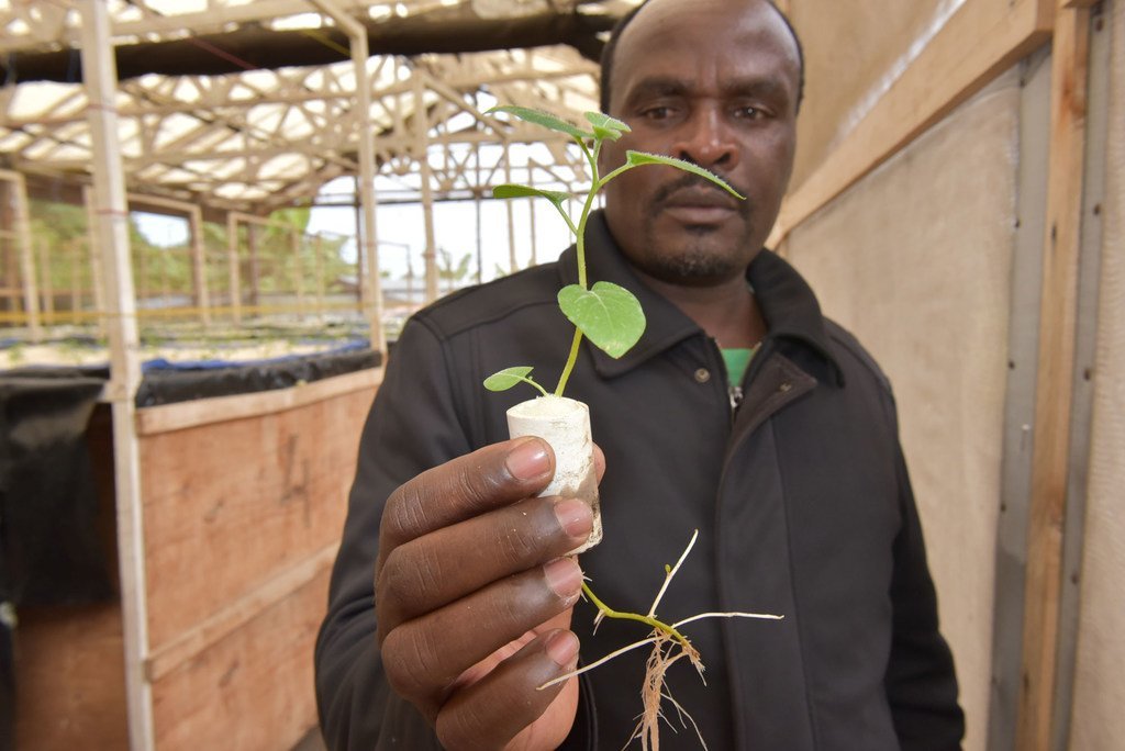 Mjasiriamali huyu kutoka Rwanda Apollinaire Karegeya analima viazi na hatumii udongo bali maji kidogo.