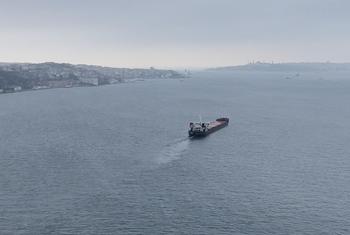 Пролив Босфор, Стамбул, Турция. 