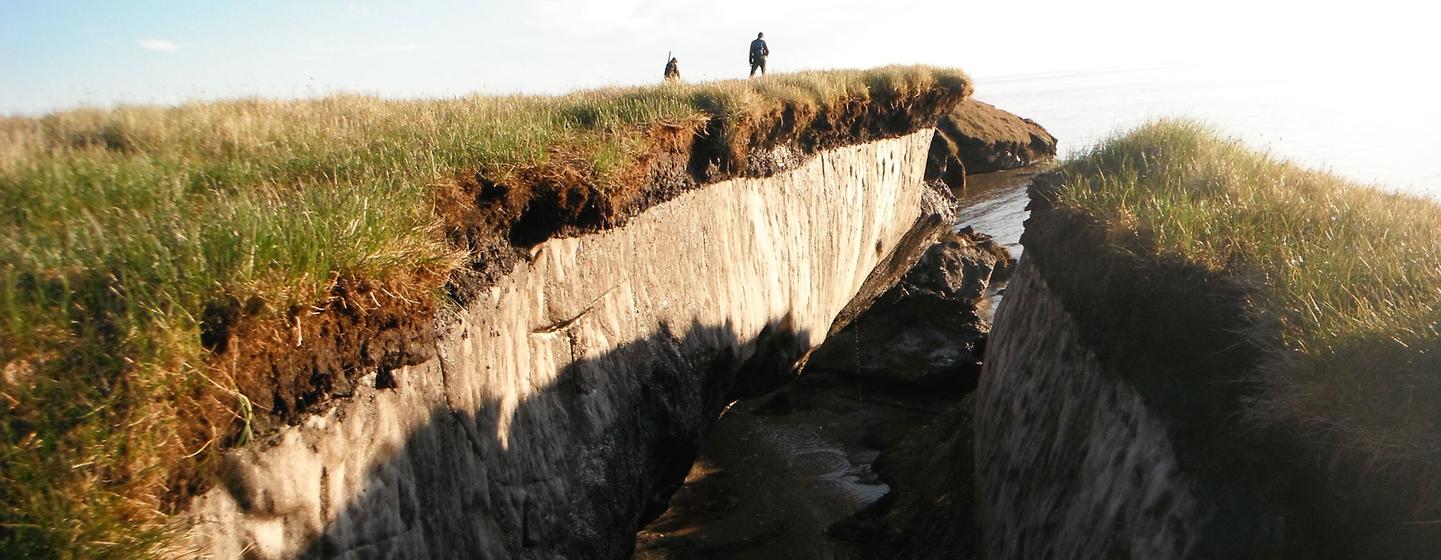 La erosión en la costa revela la magnitud de la capa rica en hielo del permafrost que subyace en la capa activa en la llanura costera del Ártico en el área especial del lago Teshekpuk de la Reserva Nacional de Petróleo en Alaska, en los Estados Unidos.