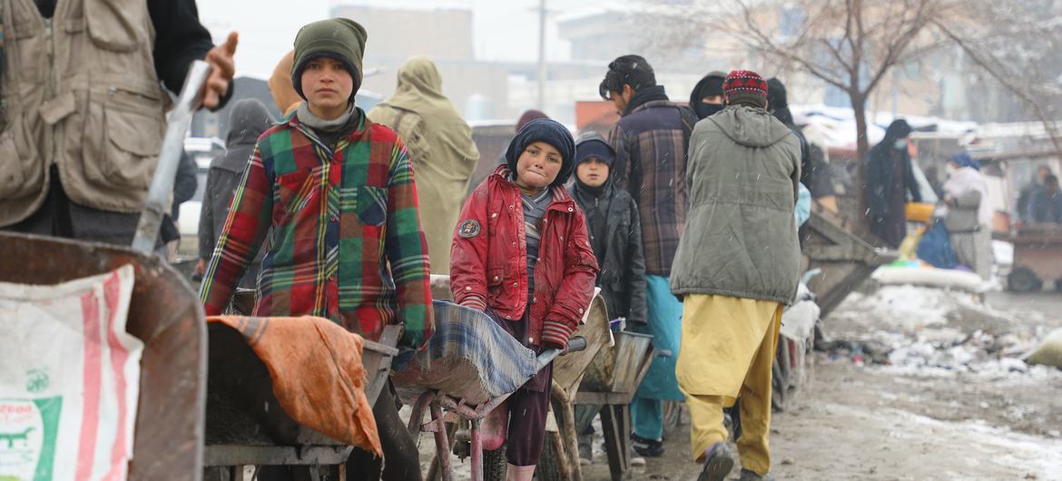 在阿富汗喀布尔的严冬里，世界粮食计划署正向弱势家庭分发食物。