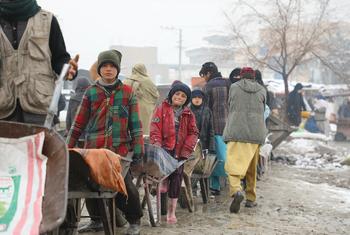 在阿富汗喀布尔的严冬里，世界粮食计划署正向弱势家庭分发食物。