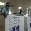 Empleados de UNICEF en la India se preparan para exportar un cargamento de vacunas de COVAX.