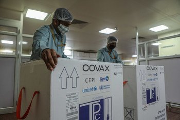Empleados de UNICEF en la India se preparan para exportar un cargamento de vacunas de COVAX.