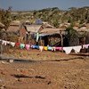 من الأرشيف: مخيم شيملبا للاجئين في منطقة تيغراي بإثيوبيا.
