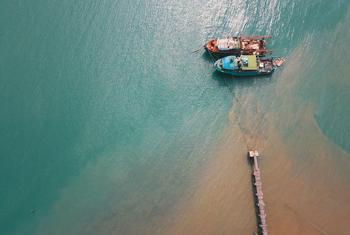 قوارب راسية في شواطئ ممباسا الكينية.