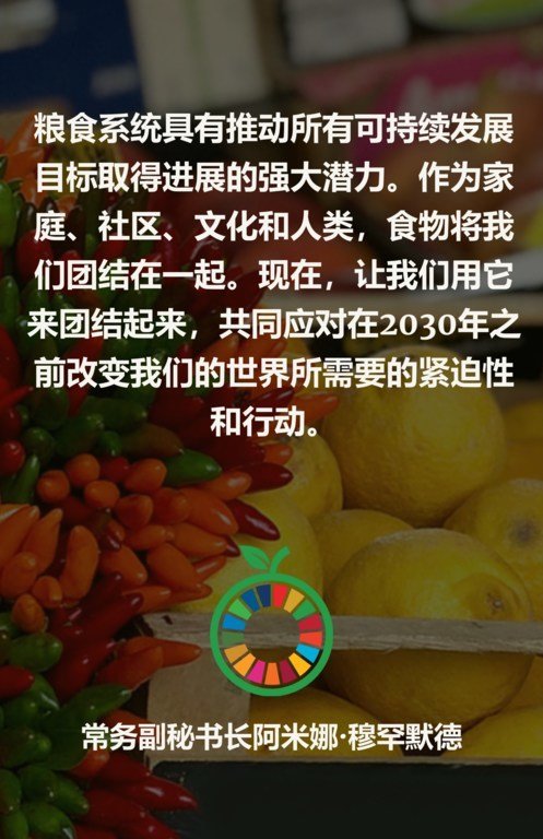 联合国常务副秘书长阿米娜·穆罕默德在粮食峰会预备会议上讲话语录卡