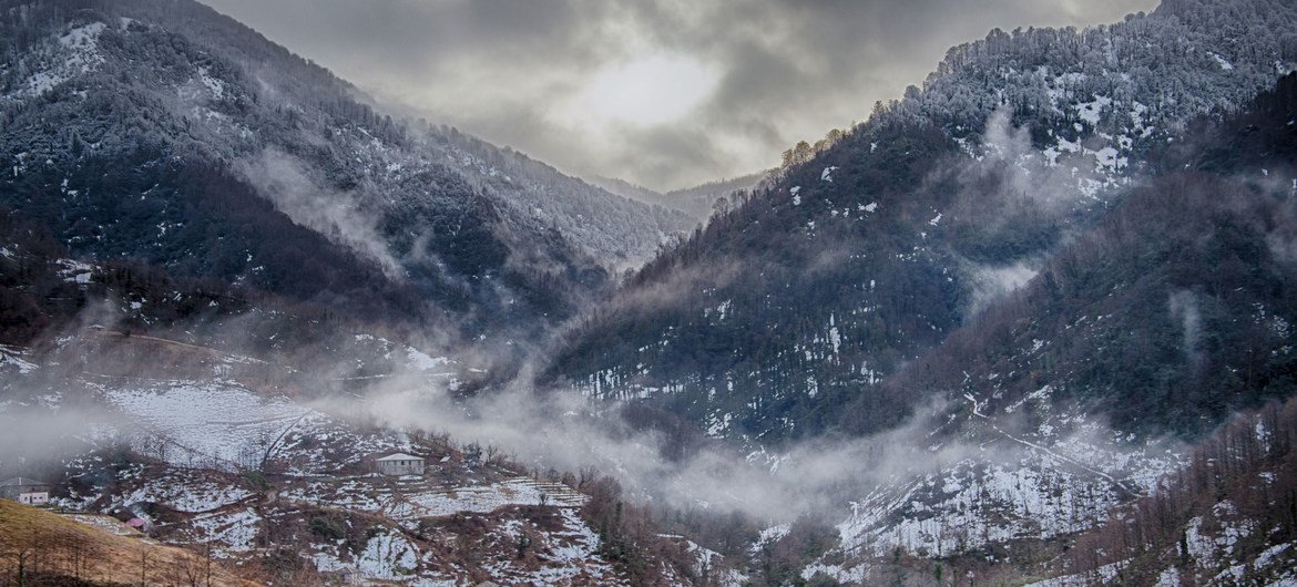 Le parc national de Mtirala est situé dans la région de Colchic en Géorgie.