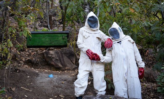 Farmers in Malawi are taking on new types of farming including beekeeping.