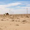 Un parc d'éoliennes près de Nouakchott, la capitale de la Mauritanie, vise à donner à davantage de gens un accès à des sources d'énergie renouvelable.