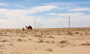 A windmill park on the outskirts of Nouakchott, the capital of Mauritania is aimed at giving more people access to renewable energy sources. 